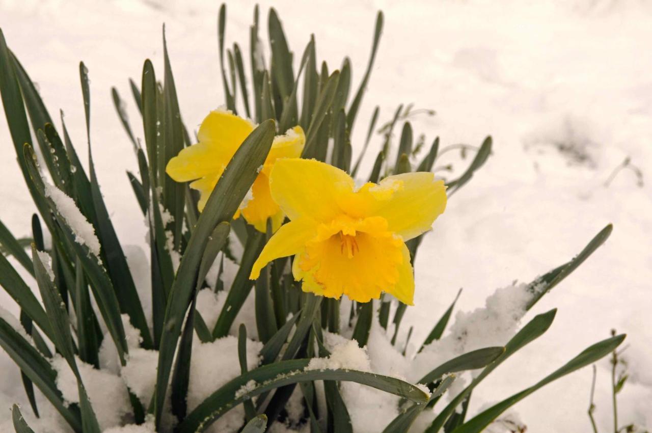 קווינסטאון Hawkridge Alpine Suite מראה חיצוני תמונה